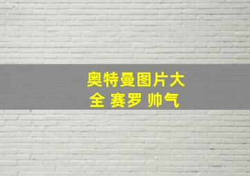 奥特曼图片大全 赛罗 帅气